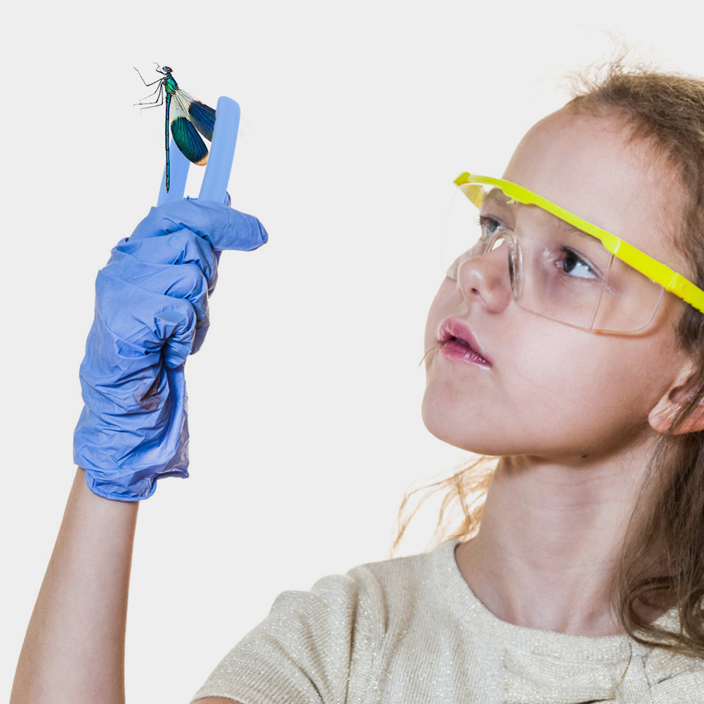 24 Stück Kinder-Plastikpinzett – Play Kids Outdoor Bewertung und Preis